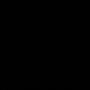 Meet your Posher, Delores